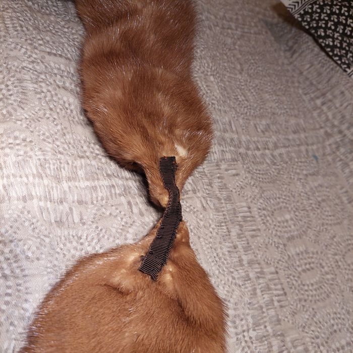 Estola de raposa muito bela