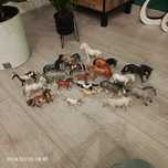Kolekcja koni schleich i colecta