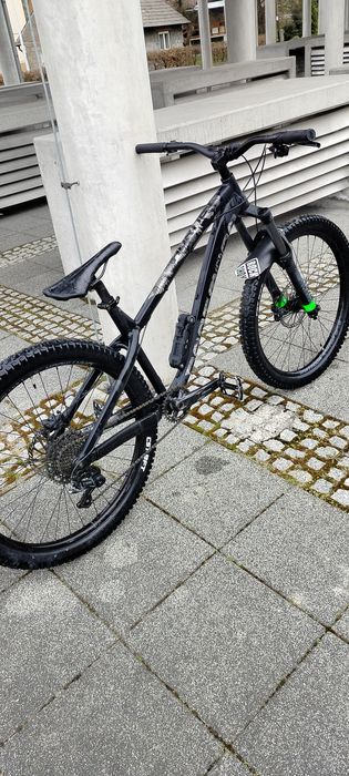 Dartmoor  hornet 2022 PILNEEE