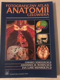 Atlas anatomii Yokochi