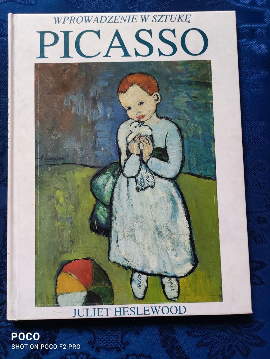 Picasso wprowadzenie w sztukę