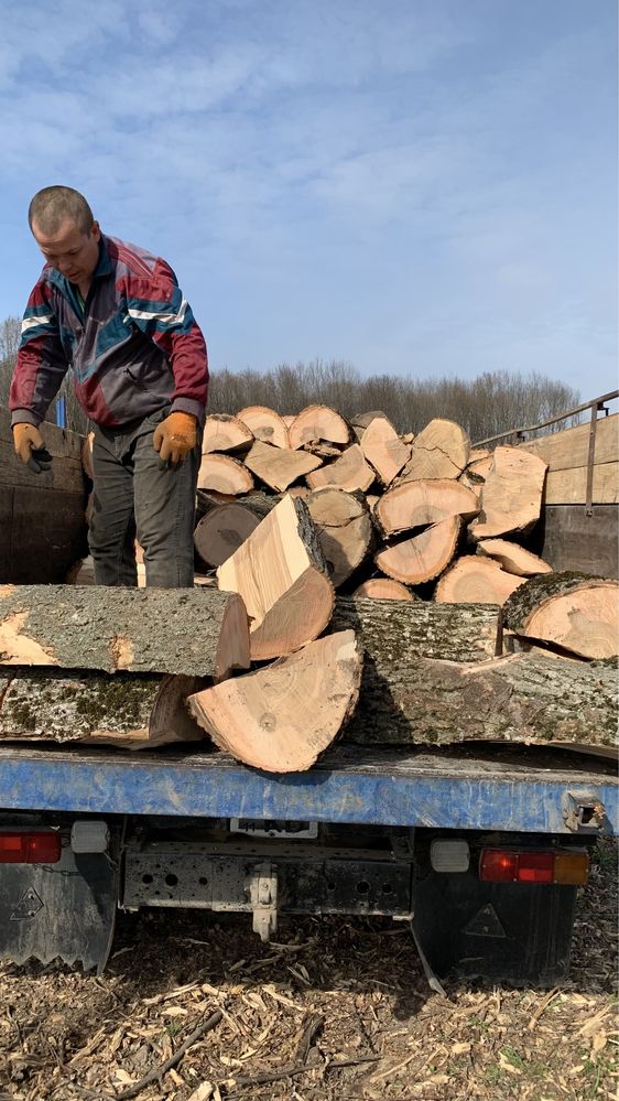 Продаю дрова твердих порід
