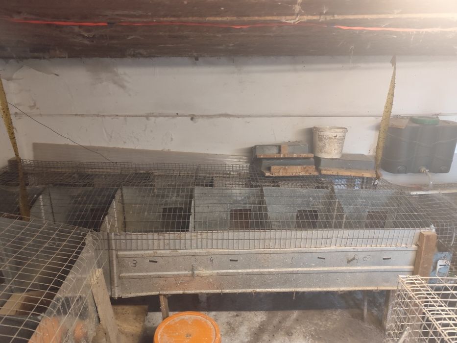 Продаю клітки для кроликів