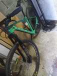 Coluer poision sl