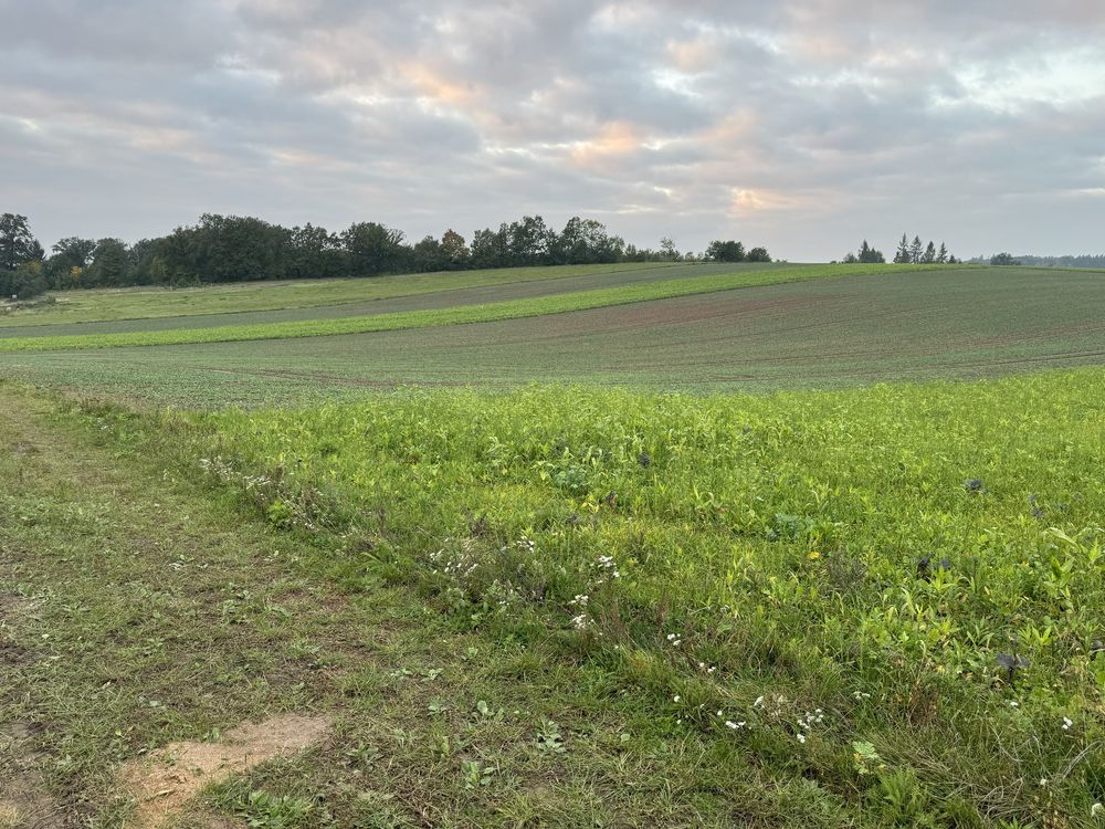 Dzialka rolno - budowlana we wsi Sobota Lwowek Slaski  30 arow