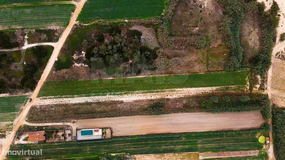 Terreno Rústico com 3.800 m² em Ferrel