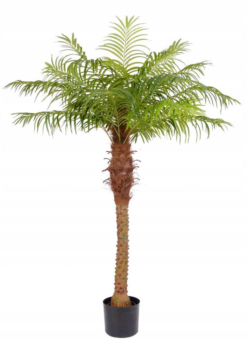 Sztuczny kwiat sztuczna palma w doniczce PALMA XXL - 200 cm