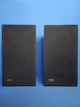 colunas PIONEER CL-45A