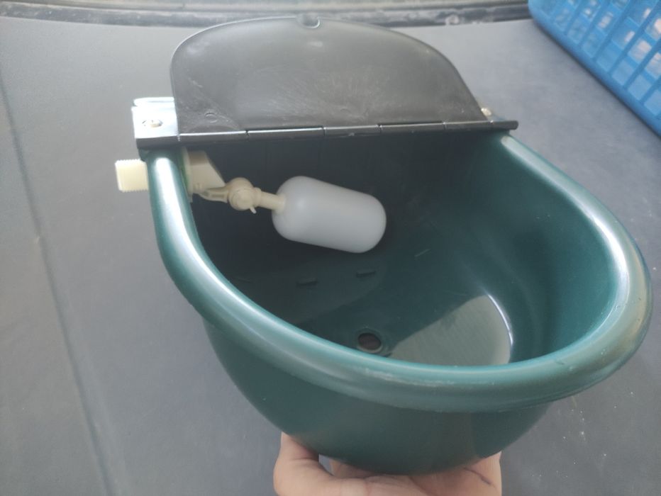 Bebedouro automático  animais