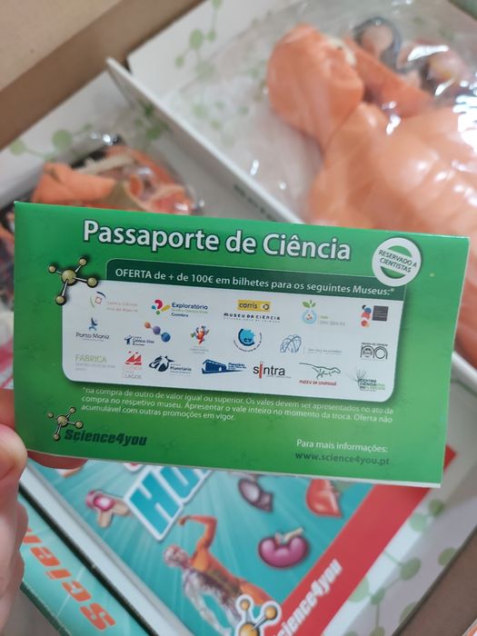 Brinquedo educativo Corpo Humano