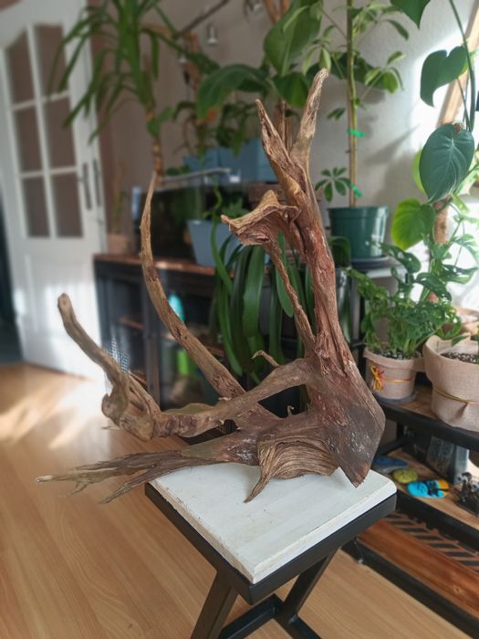 Korzeń do akwarium lub terrarium