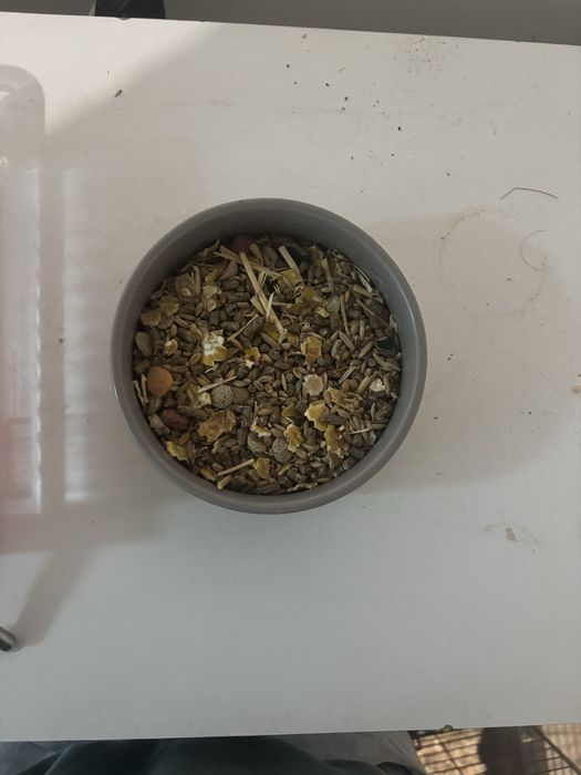 Gaiola grande de metal para porquinho india/ hamster