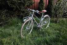 Rower miejski Gazelle Van Stael damski warm grey rozm 49