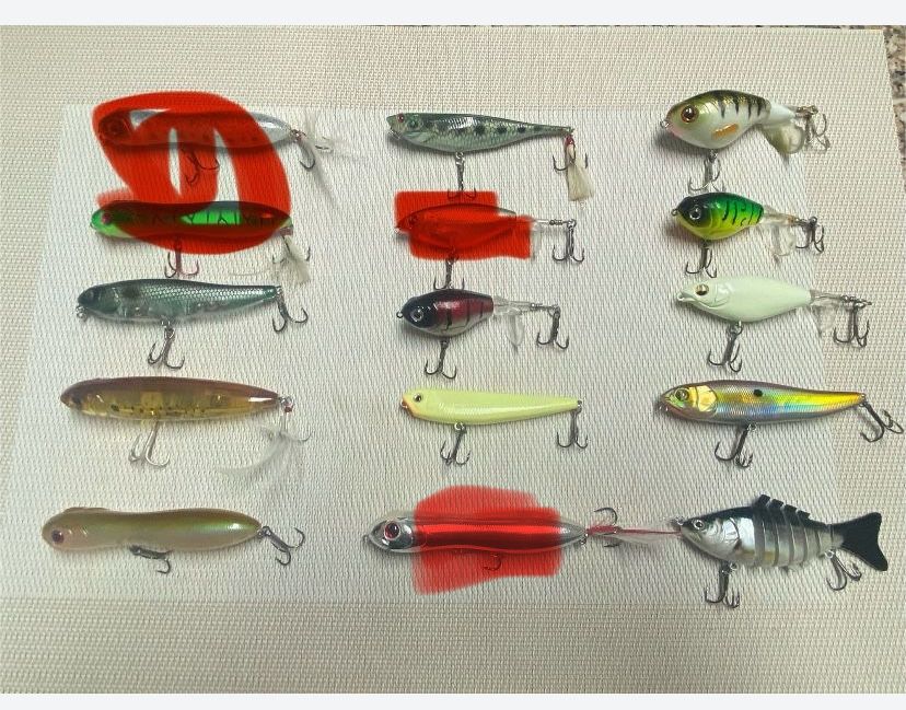 Lote de amostras - Pesca ao Achigã