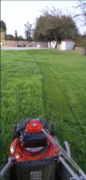 Jardinar 100 complicar - serviços jardinagem