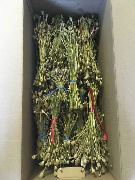 Букети - сухоцвіти польового та декоративного маку.