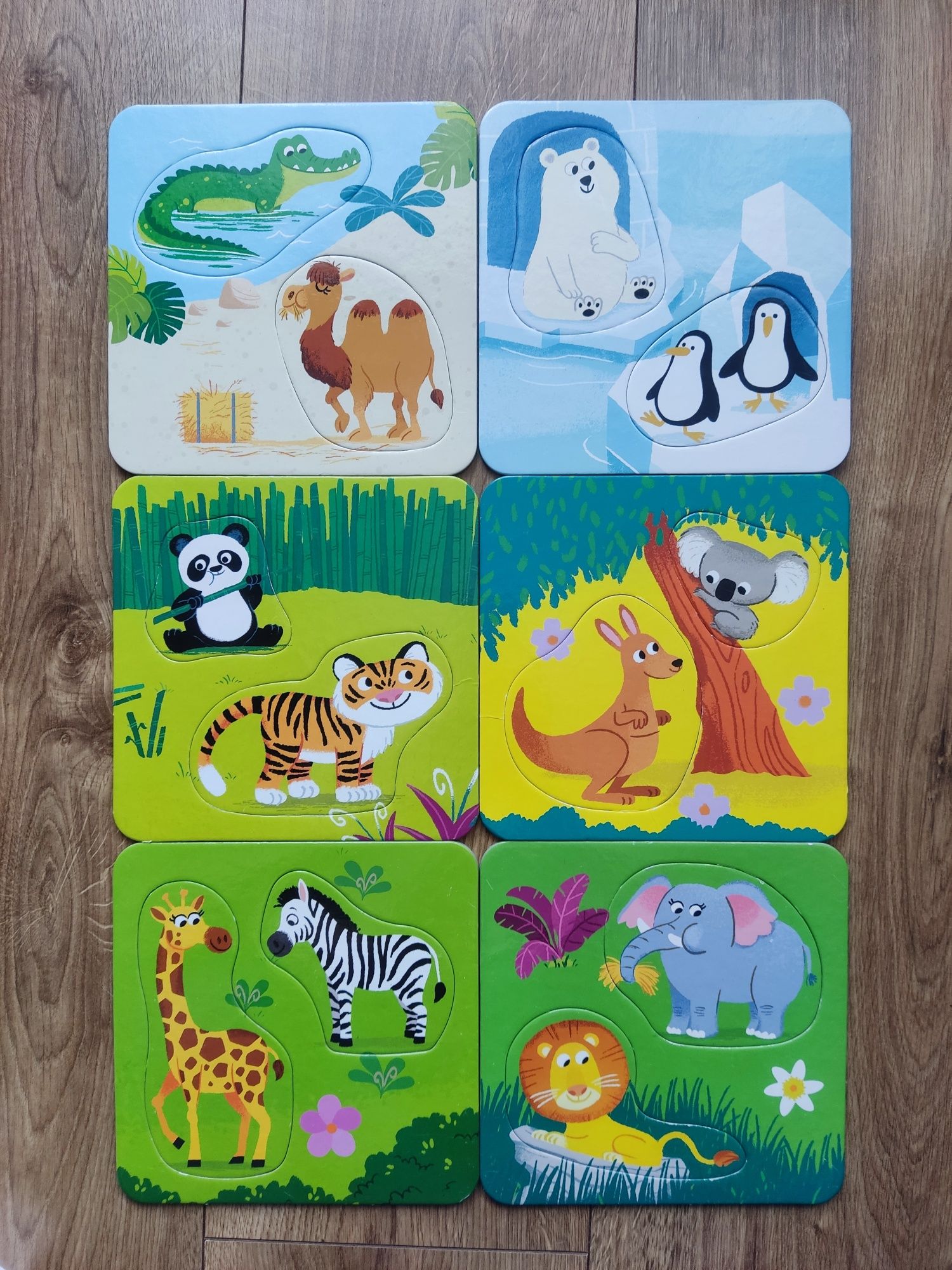 Trefl Idziemy do Zoo gra edukacyjna układanka puzzle zwierzęta