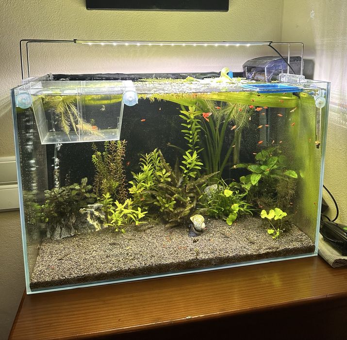 Aquario completo sem tampa 60x38x35cm 80litros