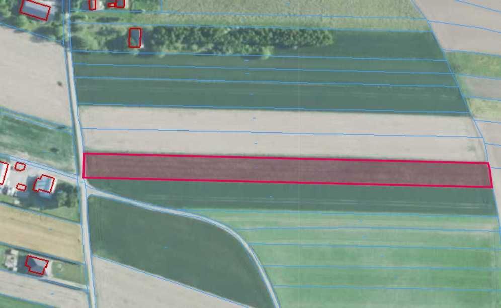 Działka w Dzierdziówce 57 ar