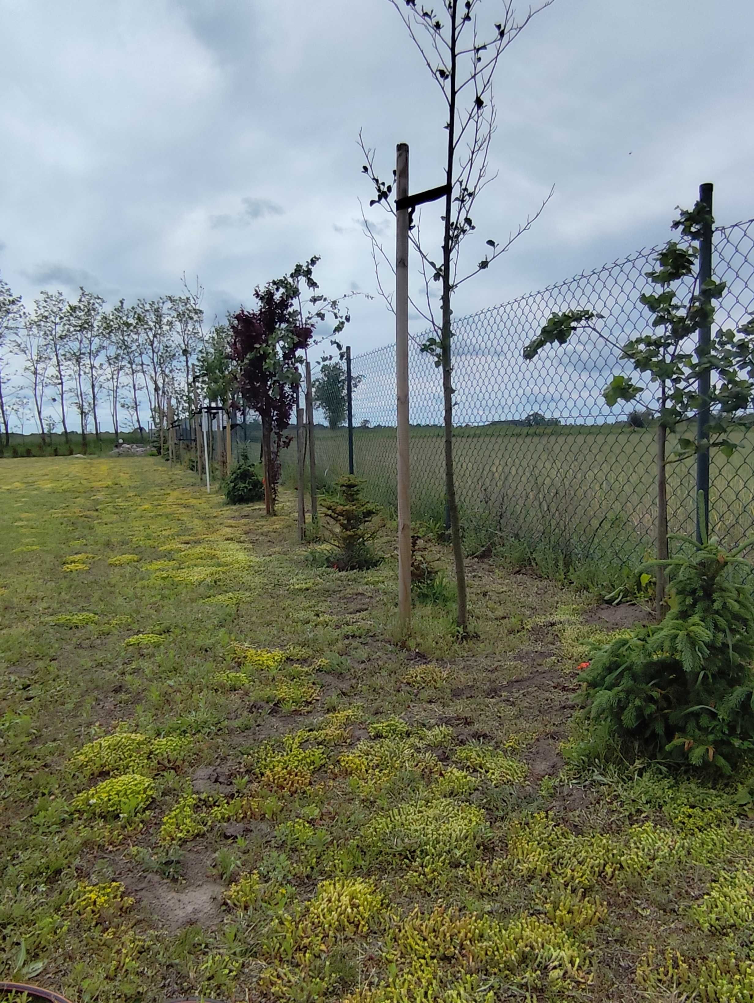 Piękna Działka Budowlana 3574 m2 okolice Szubina cena 875tys