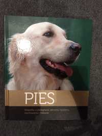 Ksiązka:Pies