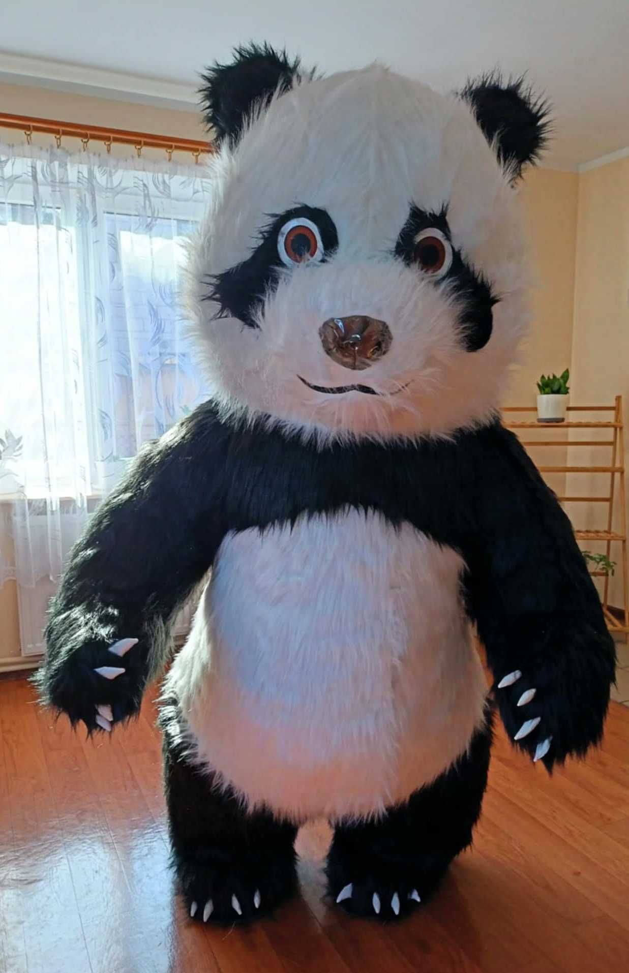 Duży miś panda dmuchany pompowany XXL kostium 2 metry gigant