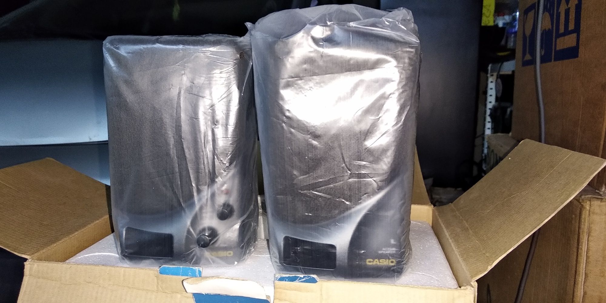 Colunas de som amplificadas Casio SP-100