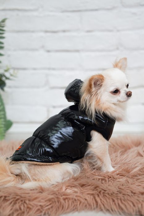 Жилет зимний для собак