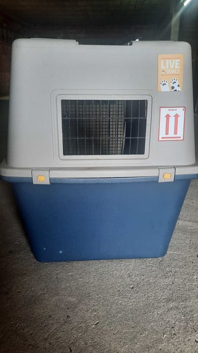 Caixa Transportadora Oficial IATA, para animais  | Ótimo Estado