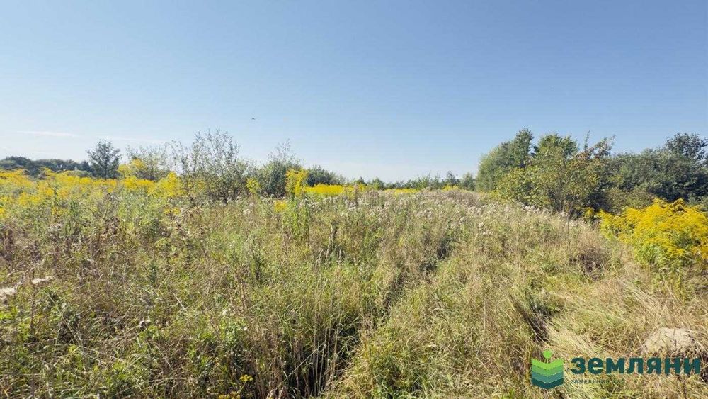 Продається ділянка 20 сот під будівництво в Хриплині (7)