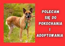ULEK - marzy o nowym domu i rodzinie :)