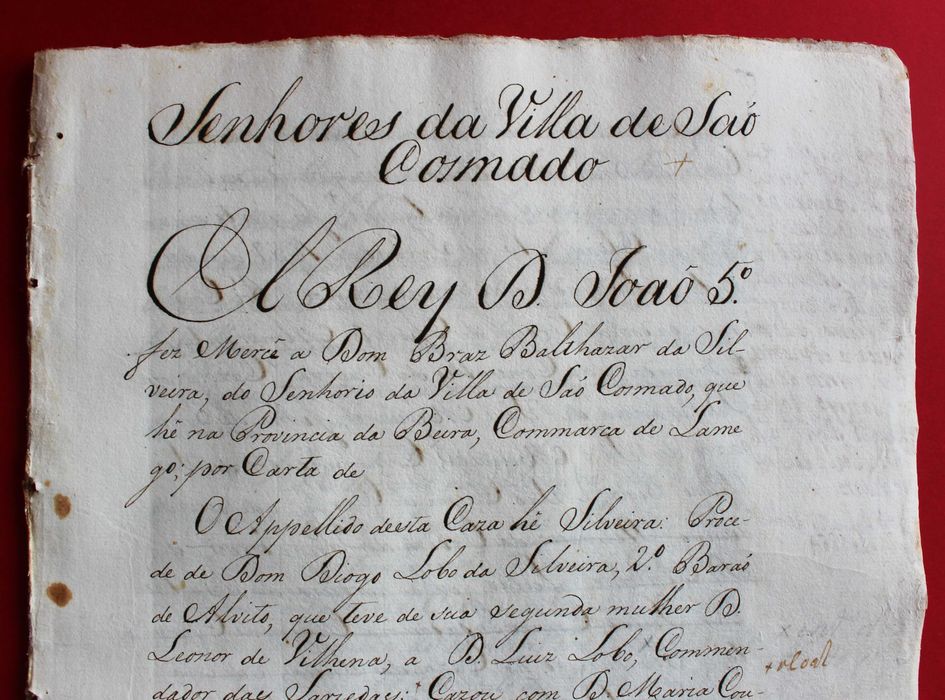 Senhores da Vila de São Cosmado Lamego apelido Silveira séc XVIII