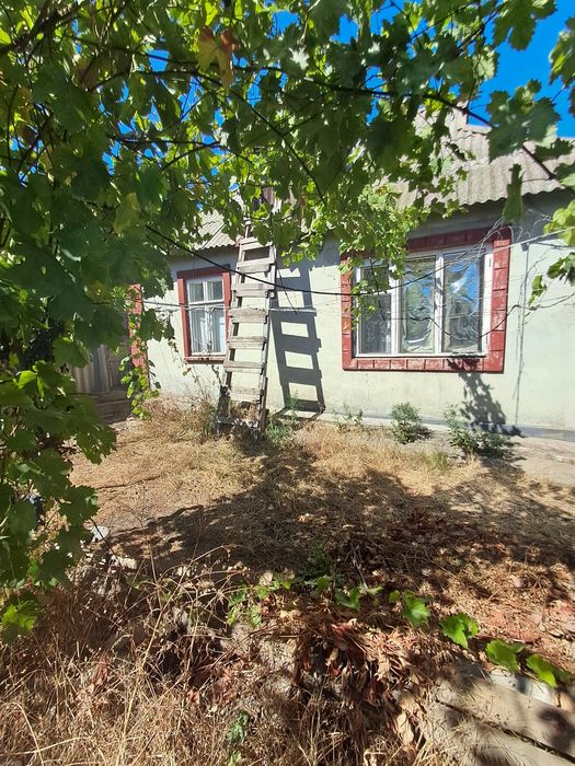 Продам дом в Александровке