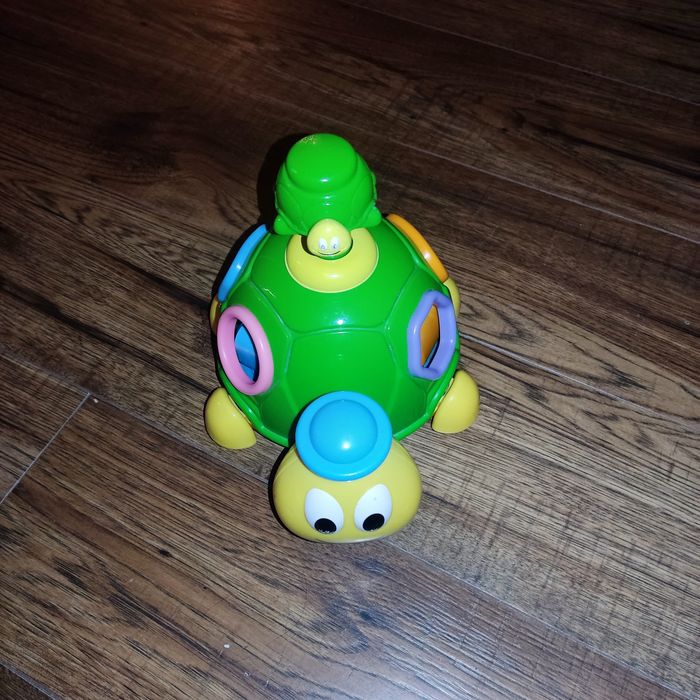 Sorter żółw, Dumel dla dzieci