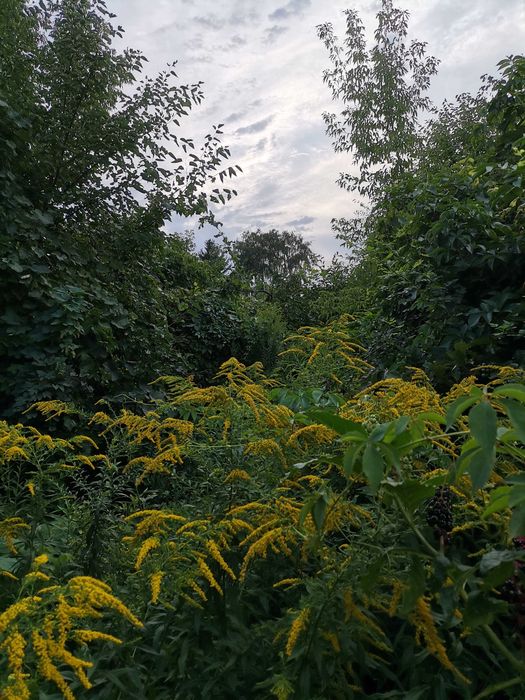Поселим в доме 3 комнаты.