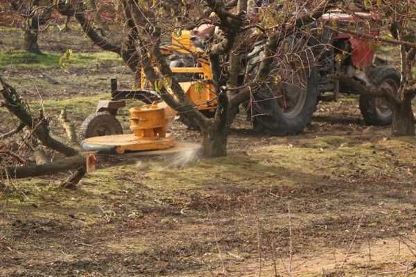 Mechaniczna tarcza do ścinki drzew SERRAT