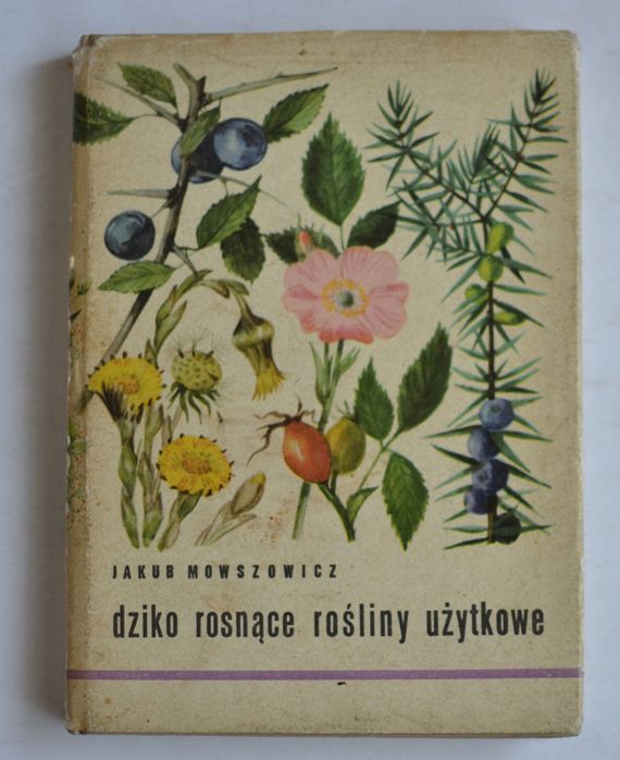 Atlas dziko rosnące rośliny użytkowe J. Mowszowicz