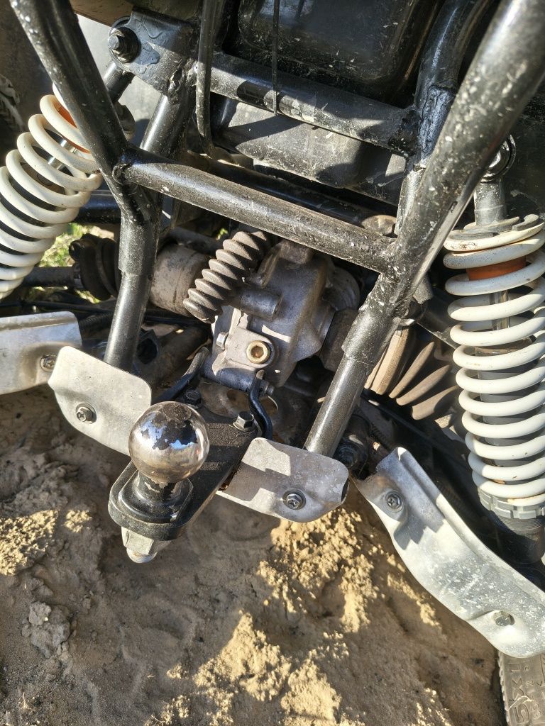Cectek gladiator