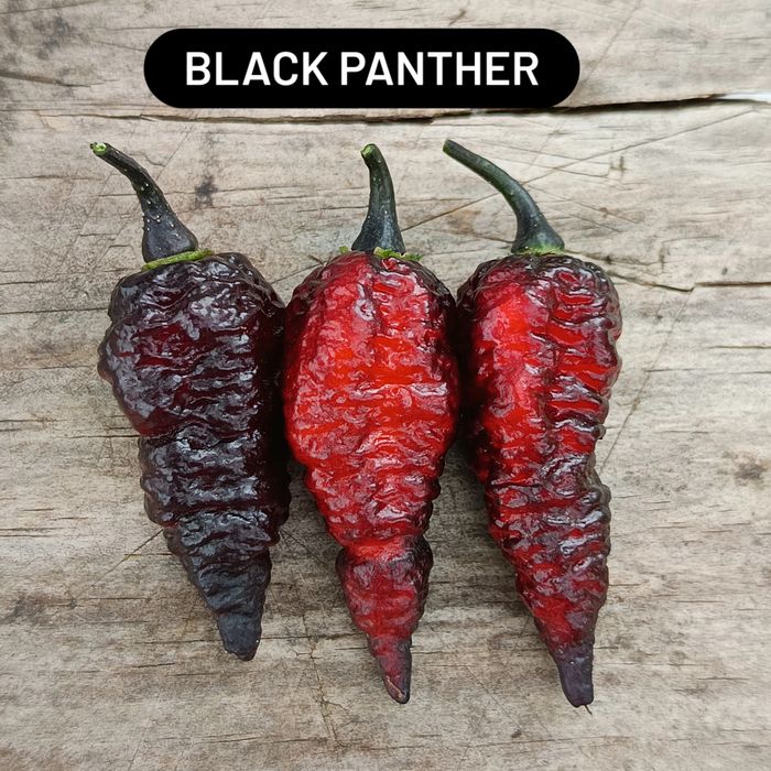 Caixa de malaguetas frescas ardência Nuclear