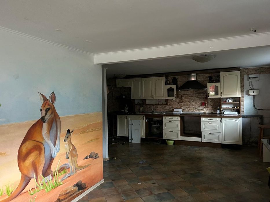 Duży dom wolnostojący, atrakcyjna cena