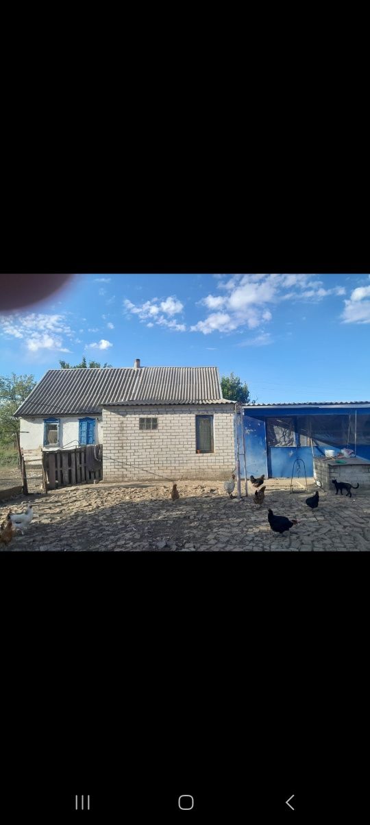 Продам дом в Тритузном по центральной улице.