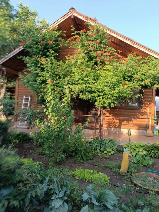 Элитный эко-дом из натурального дерева, 3 спальни,скважина Н.Дафиновка