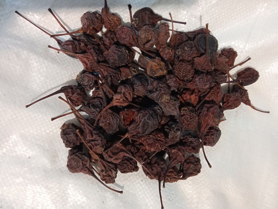 Сушка груш та яблук