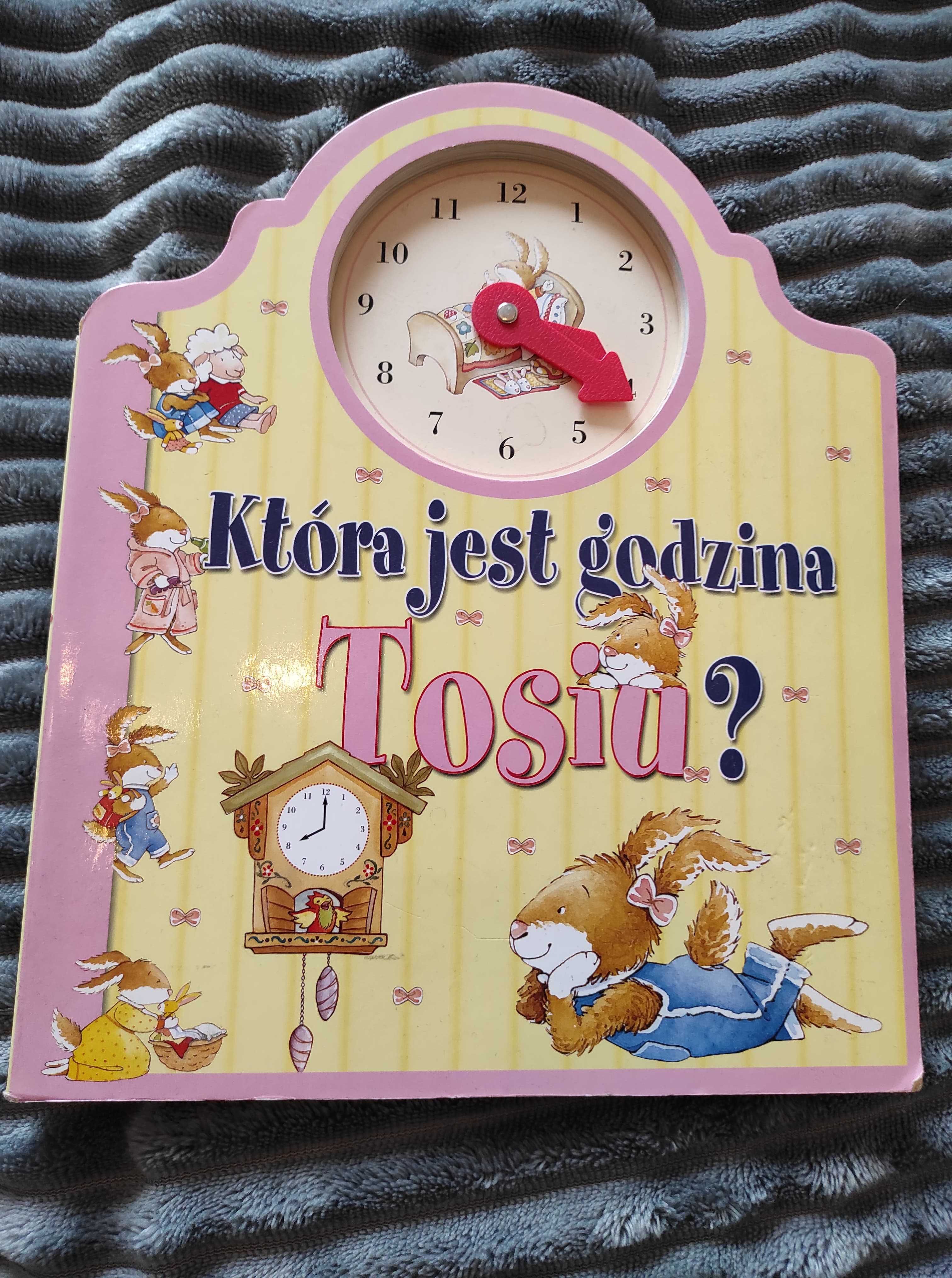 książka dla dzieci nauka godzin ,,która jest godzina Tosiu?''