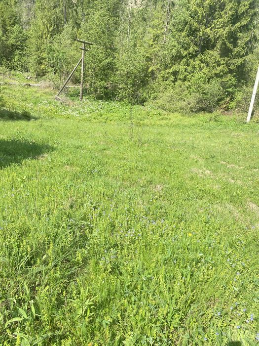 Земельна ділянка