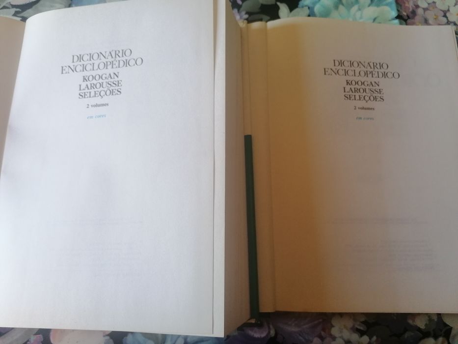 BAIXA-Dicionário enciclopédico Koogan Larousse Seleções