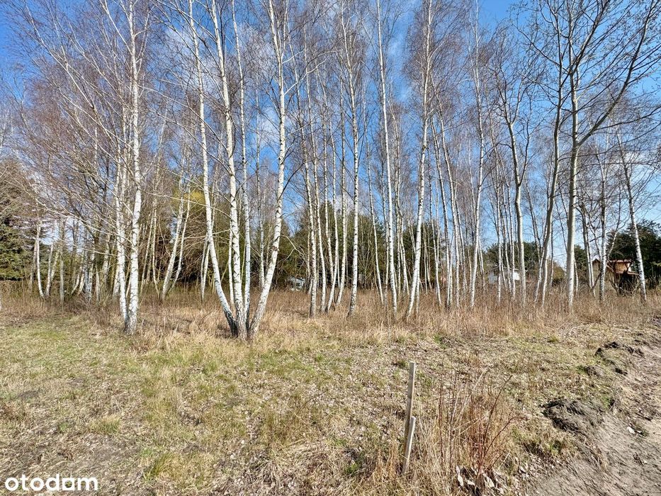 Działka bud. Kajetany woda i kanalizacja w działce!