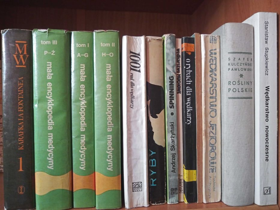 Książki : beletrystyka, albumy, słowniki, poradniki..