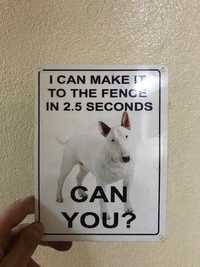 Placa de metal - Bull Terrier