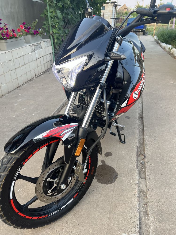 Geon pantera 250
